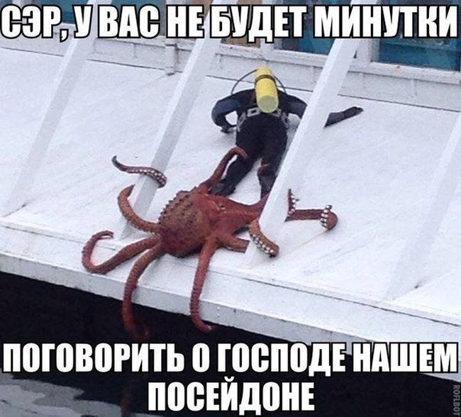 Порция картинок