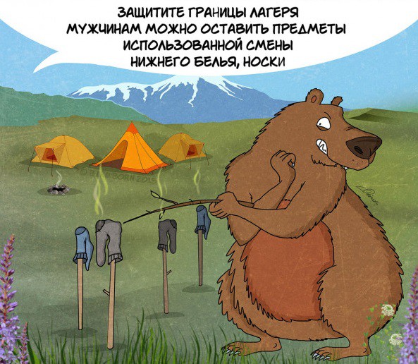 Факты которые нужно знать о медведях