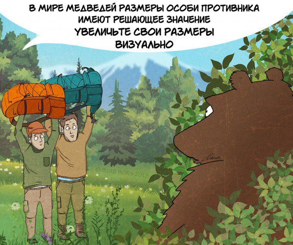 Факты которые нужно знать о медведях