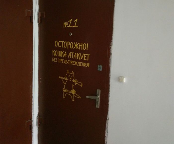 Прикольные картинки