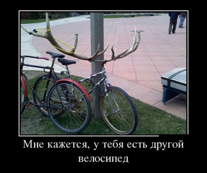 Демотиваторы