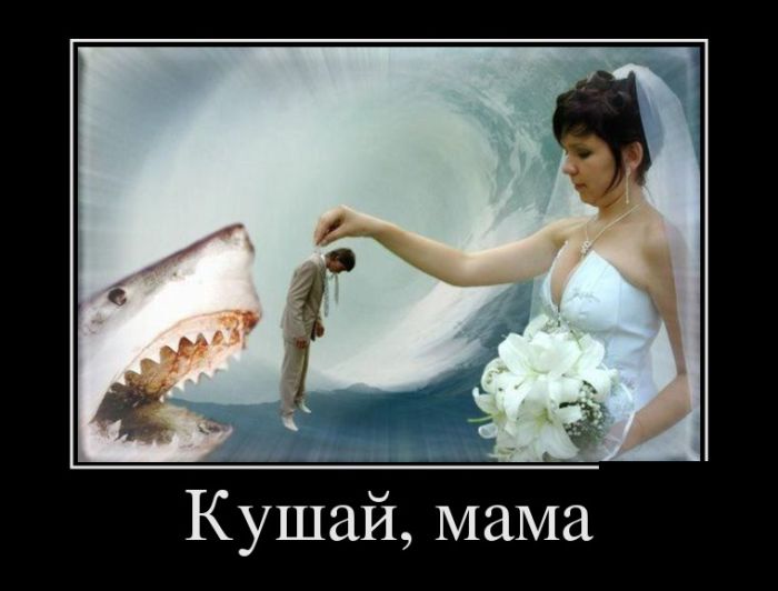 Демотиваторы