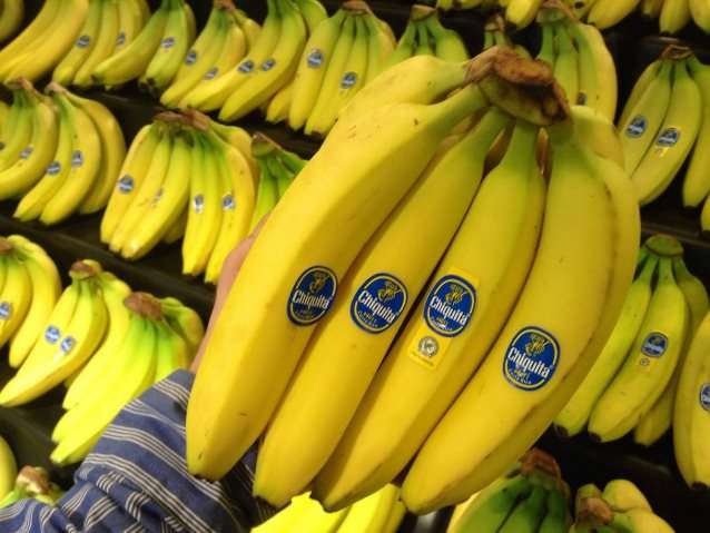 Продукты, которые могут исчезнуть в ближайшее время