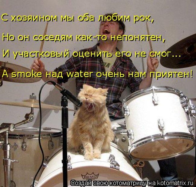 Лучшие котоматрицы недели
