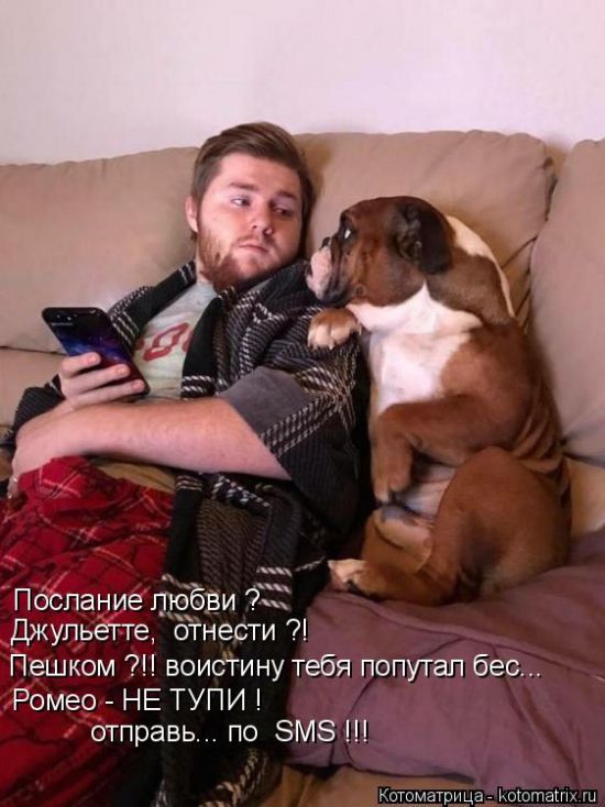 Лучшие котоматрицы недели