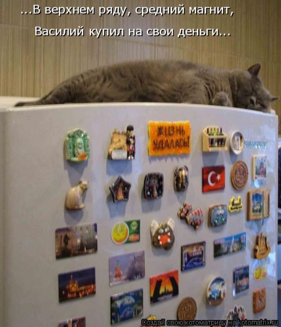 Лучшие котоматрицы недели