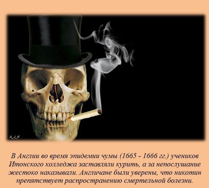 Интересные факты обо всем