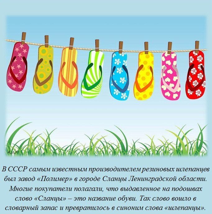 Интересные факты обо всем