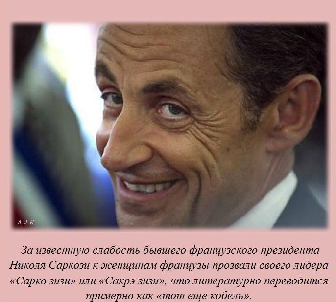 Интересные факты обо всем