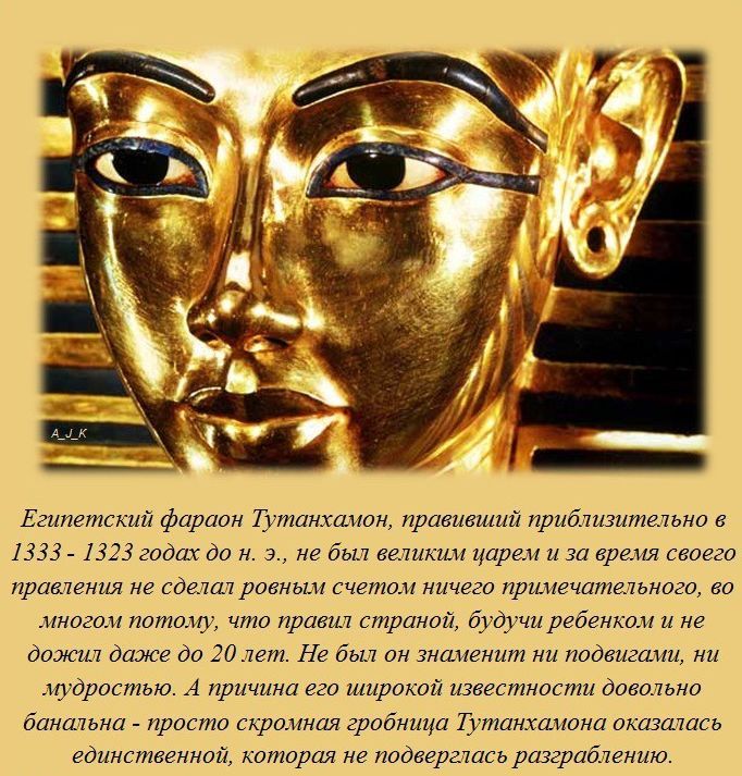 Интересные факты обо всем