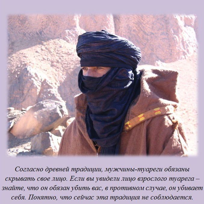 Интересные факты обо всем