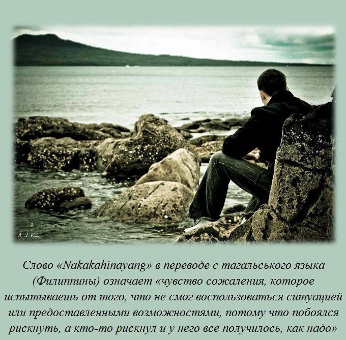 Интересные факты обо всем