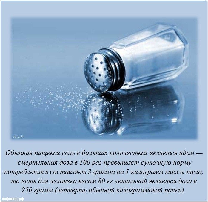 Интересные факты обо всем