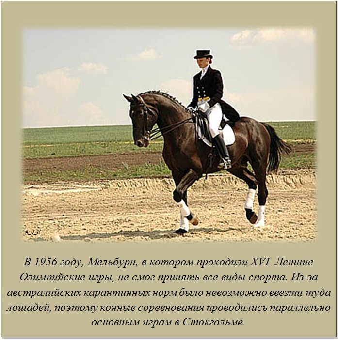 Интересные факты обо всем