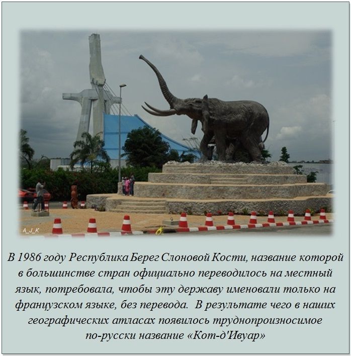 Интересные факты обо всем