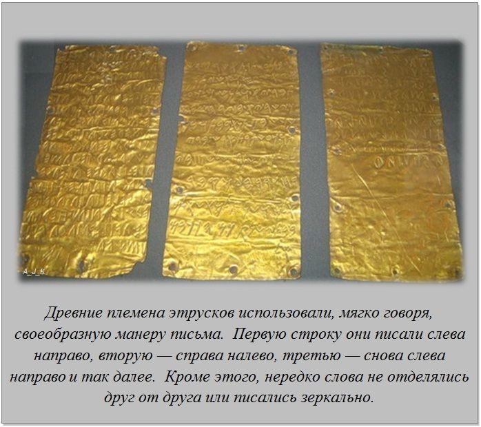 Интересные факты обо всем