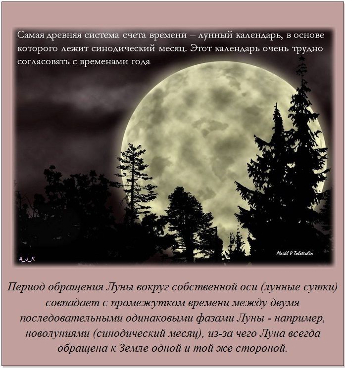 Интересные факты обо всем