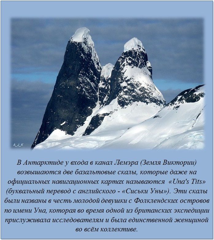 Интересные факты обо всем