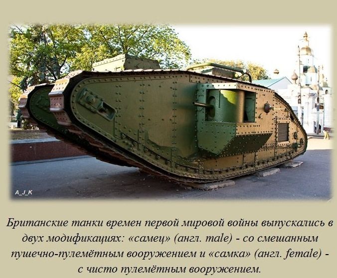 Интересные факты обо всем