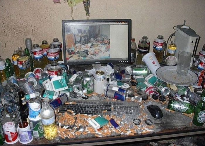 Прикольные картинки