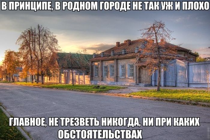 Порция картинок