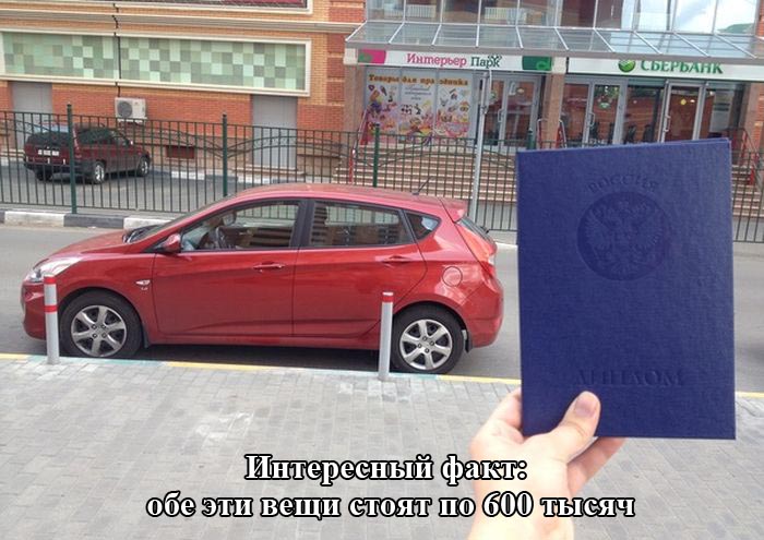 Порция картинок