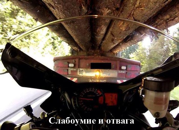 Порция картинок