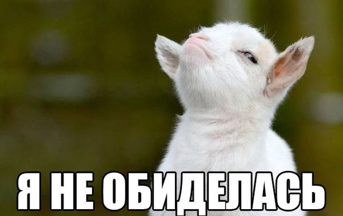 Порция картинок