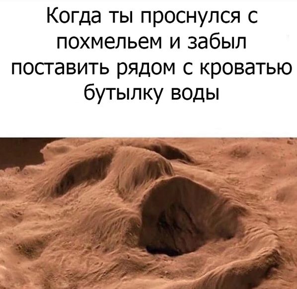 Порция картинок