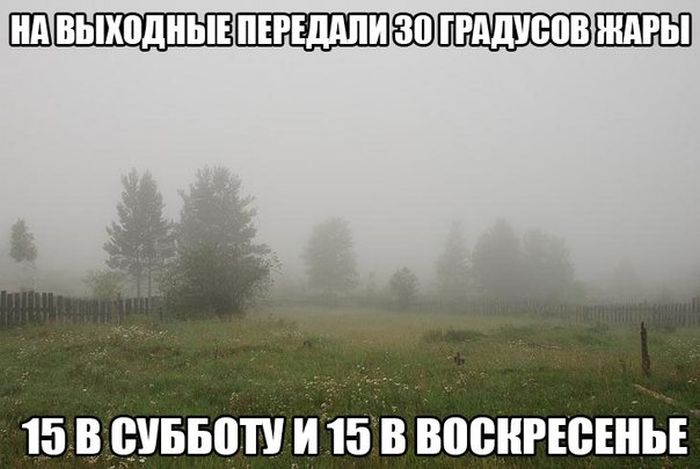 Порция картинок