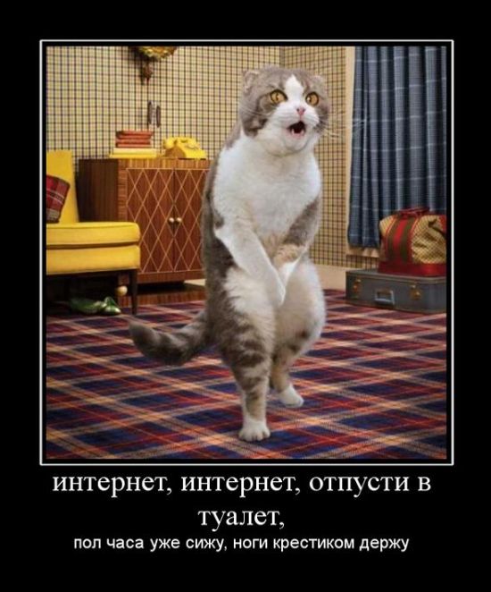 Демотиваторы