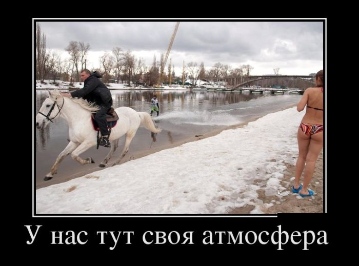 Демотиваторы