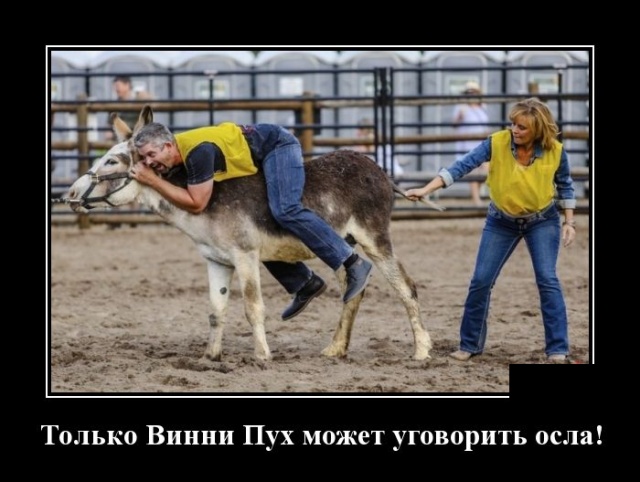 Демотиваторы