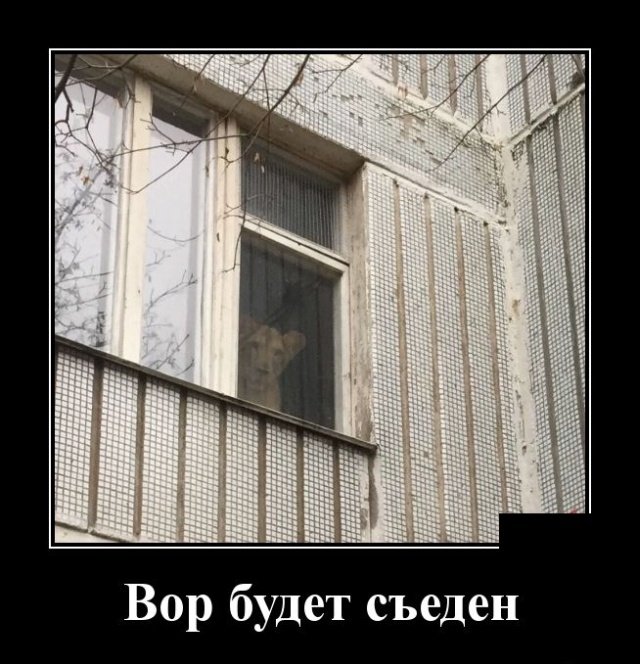 Демотиваторы