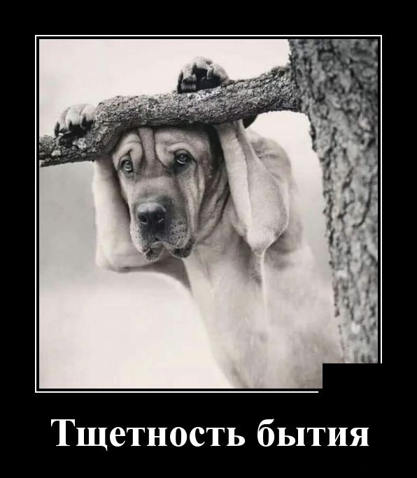 Демотиваторы