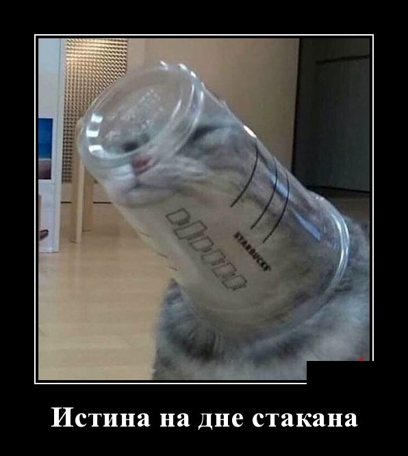 Демотиваторы