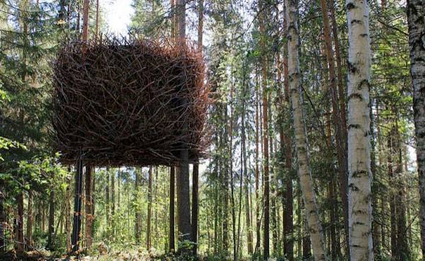 Дома на деревьях (28 фото)