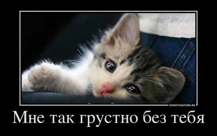 Демотиваторы (71 фото)