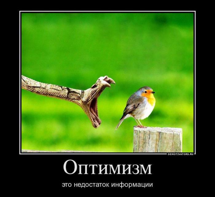 Демотиваторы (71 фото)