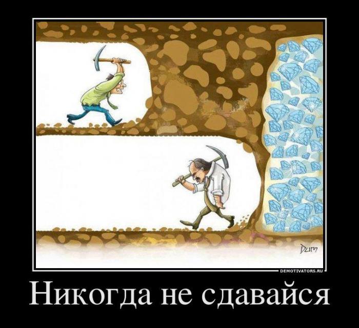 Демотиваторы (71 фото)
