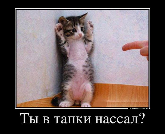 Демотиваторы (71 фото)