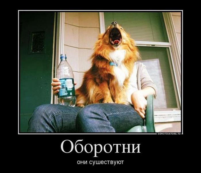 Демотиваторы (71 фото)