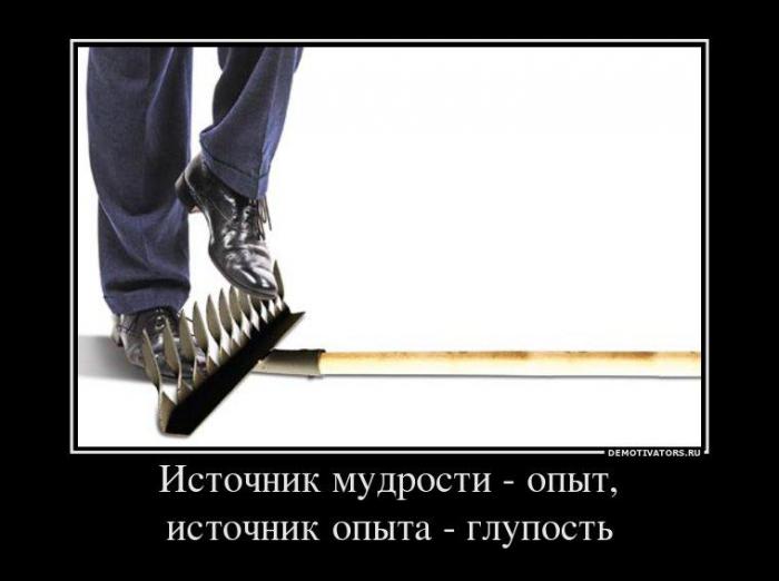 Демотиваторы (71 фото)