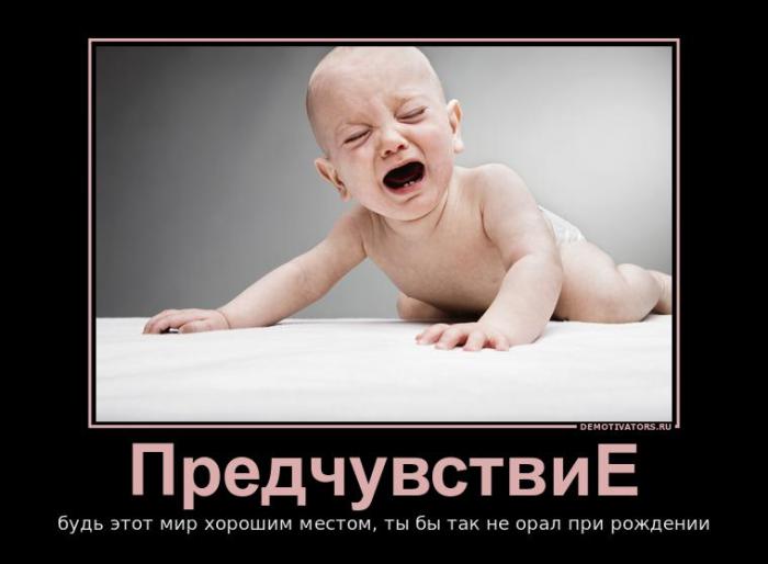 Демотиваторы (71 фото)