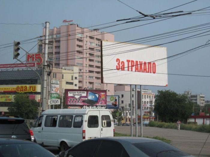 Прикольные картинки (46 фото)