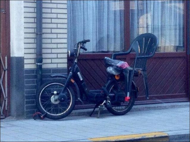 Прикольные картинки