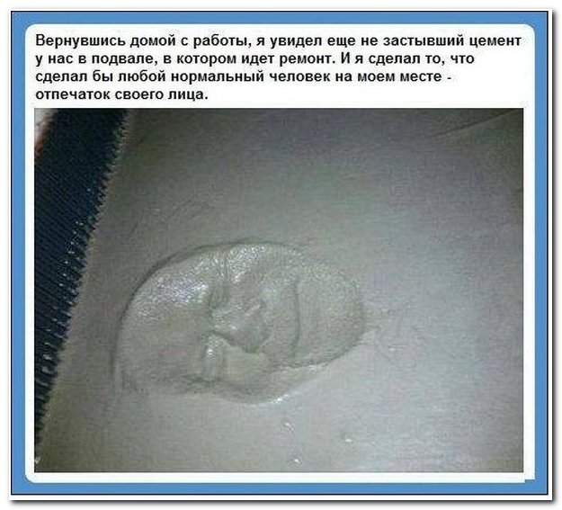 Смешные комментарии из социальных сетей (30 фото)
