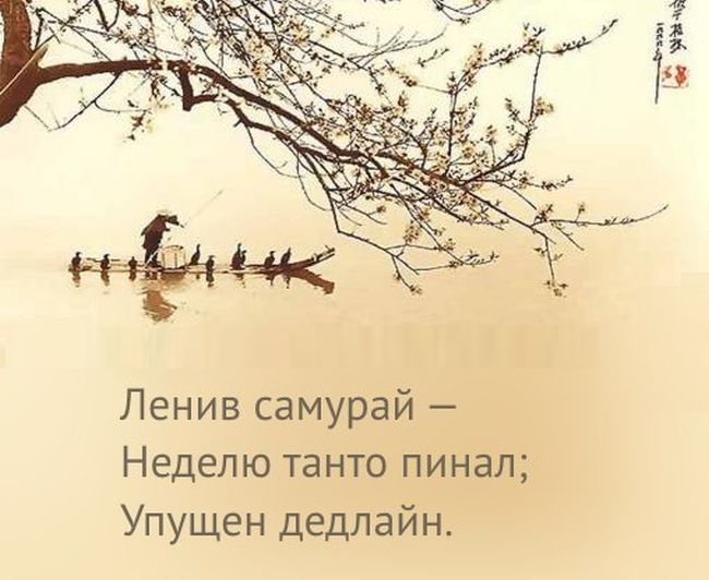Порция картинок