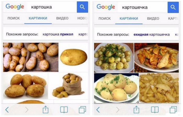 Порция картинок