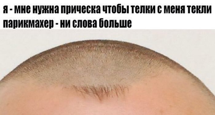 Порция картинок